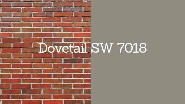 Dovetail paint swatch held against red brick