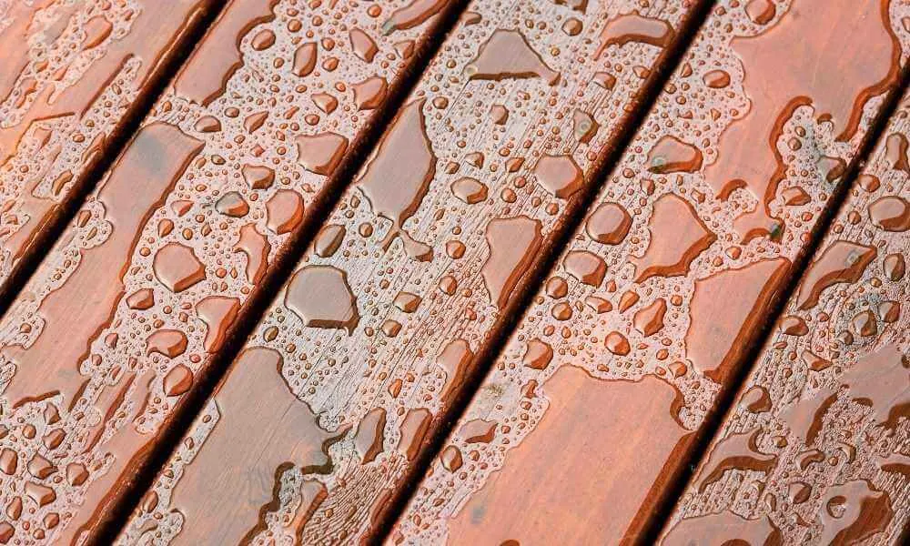 Water beading on the surface of a freshly stained wood deck