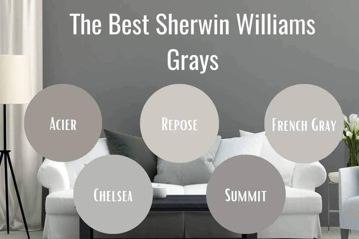 A gray painted wall with paint swatches of the best Sherwin Williams gray colors arranged across it
