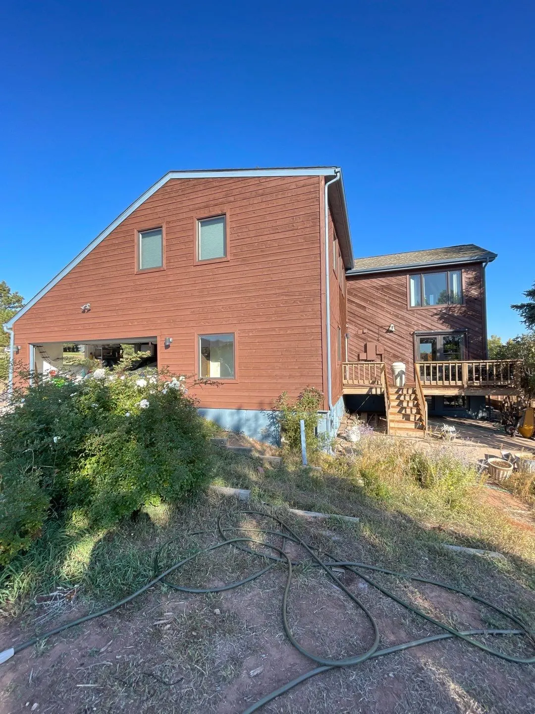 A cedar-sided house exterior after staining, under clear Colorado sky